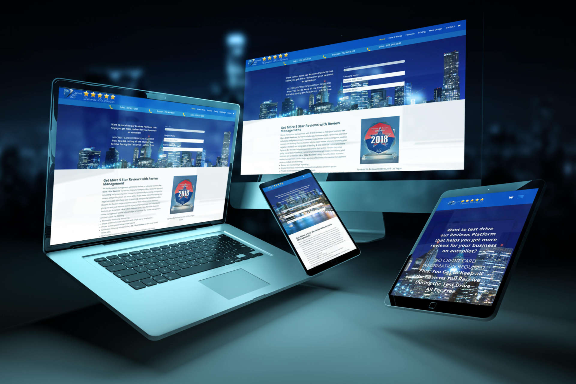 Dynamic Biz Reviews Portfolio