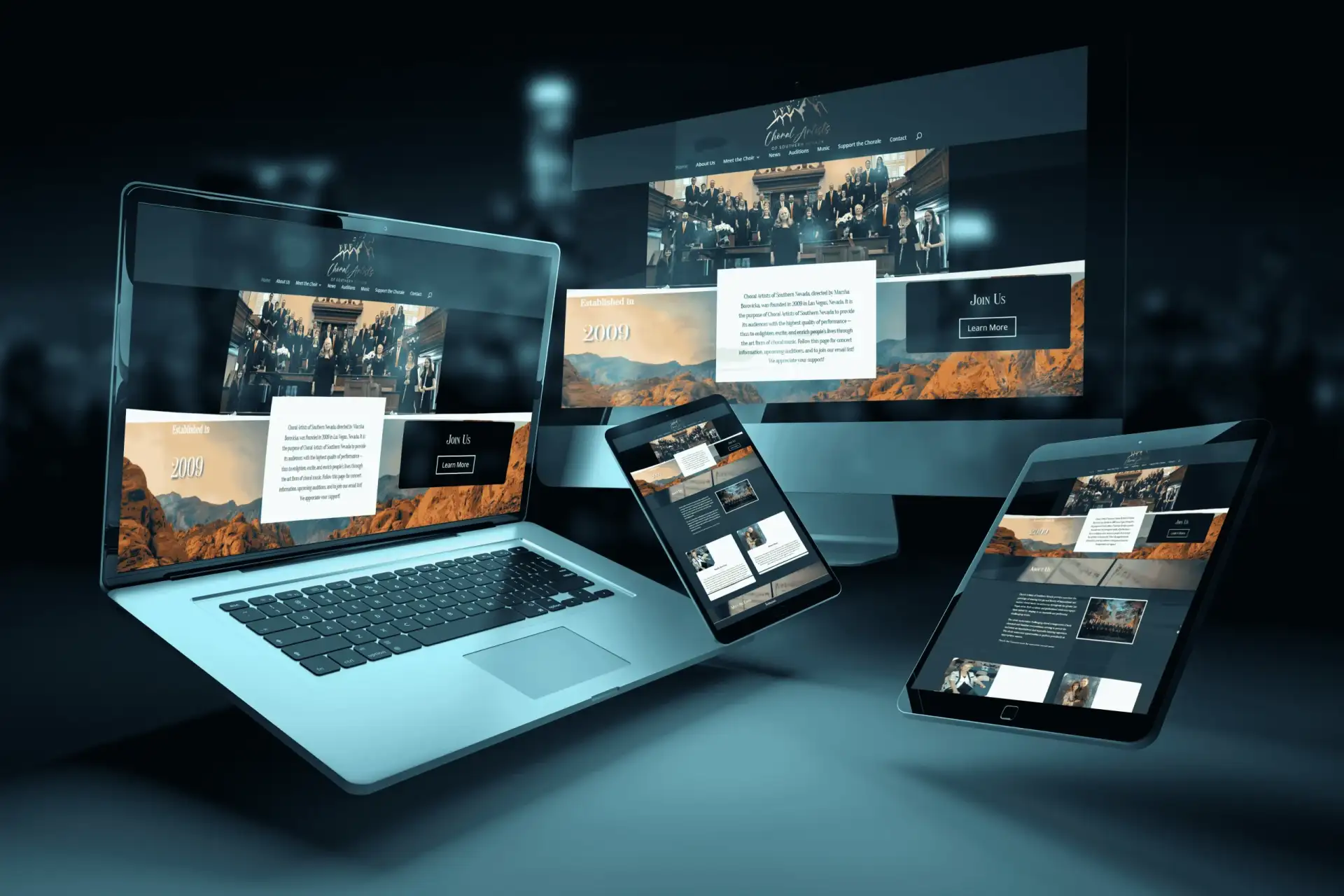 Dynamic Biz Reviews Portfolio