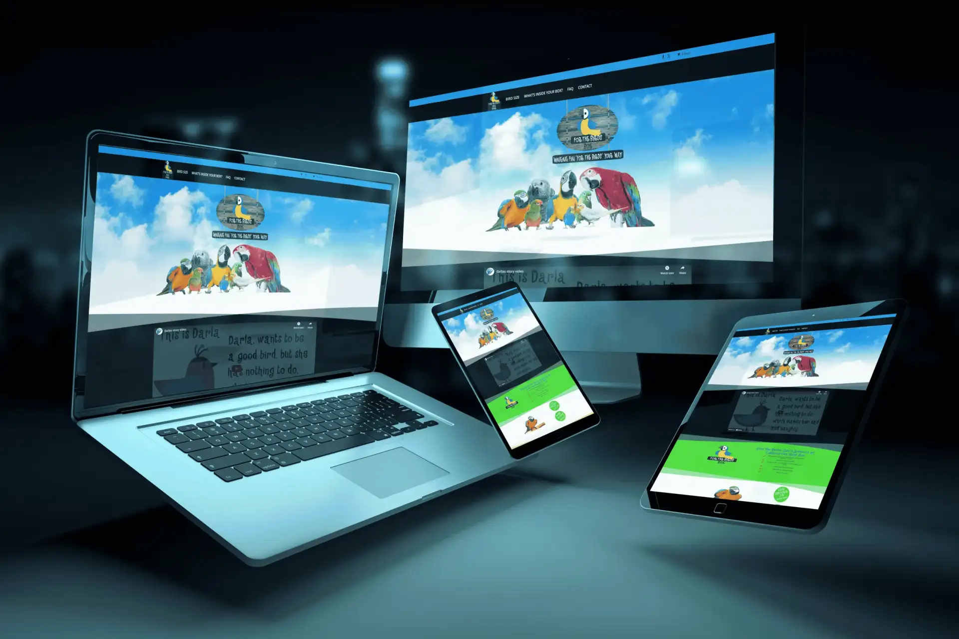 Dynamic Biz Reviews Portfolio
